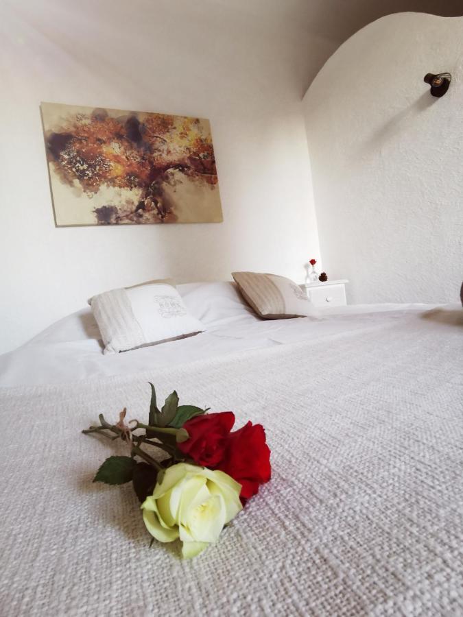 Mas La Belle Ambroise - Chambres D'Hotes Et Gite 圣昂布鲁瓦 外观 照片